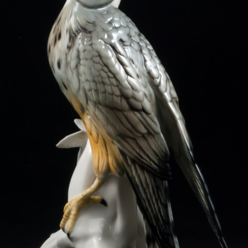 Сокол сапсан, Karl Ens, Германия