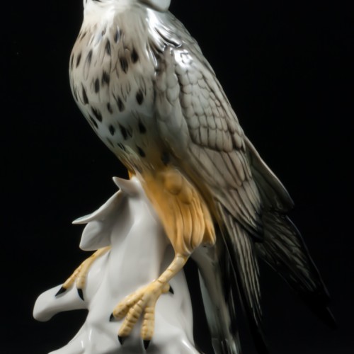 Сокол сапсан, Karl Ens, Германия