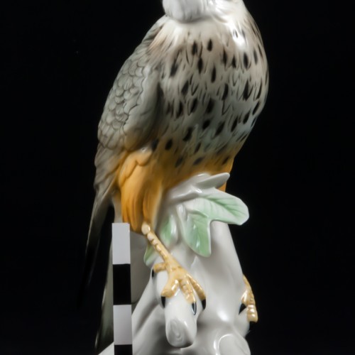 Сокол сапсан, Karl Ens, Германия