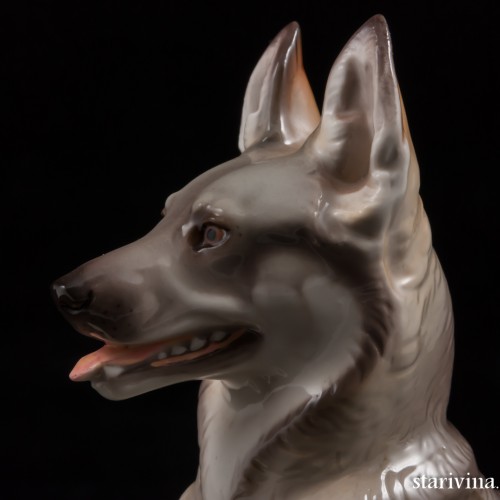 Овчарка, Nymphenburg, Германия