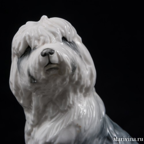 Бобтейл (староанглийская овчарка), Royal Worcester, Великобритания, 1978 г