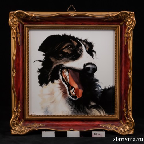 Русская борзая, Rosenthal, Германия