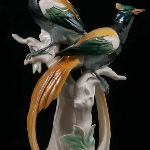 Райские птицы, Karl Ens, Германия