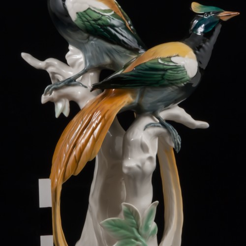 Райские птицы, Karl Ens, Германия