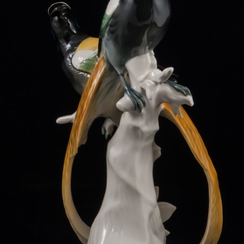 Райские птицы, Karl Ens, Германия