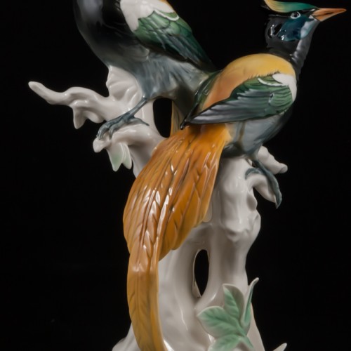 Райские птицы, Karl Ens, Германия