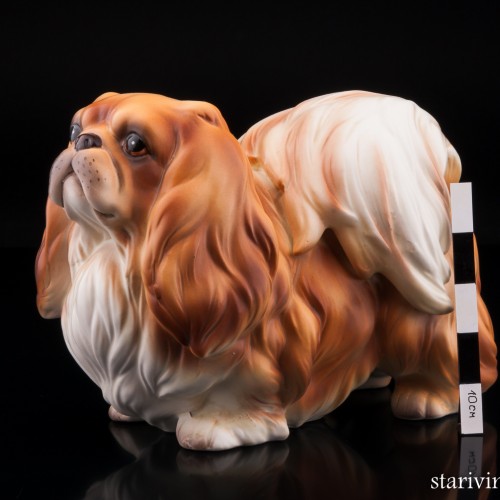 Пекинес, Германия