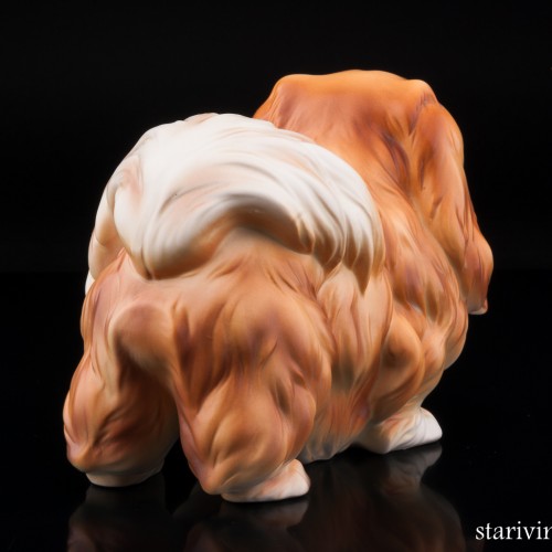 Пекинес, Германия