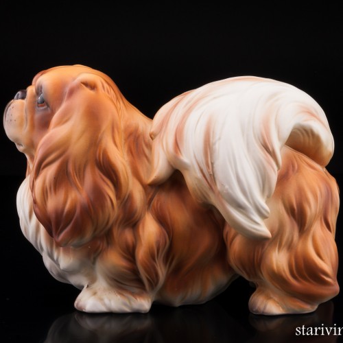 Пекинес, Германия