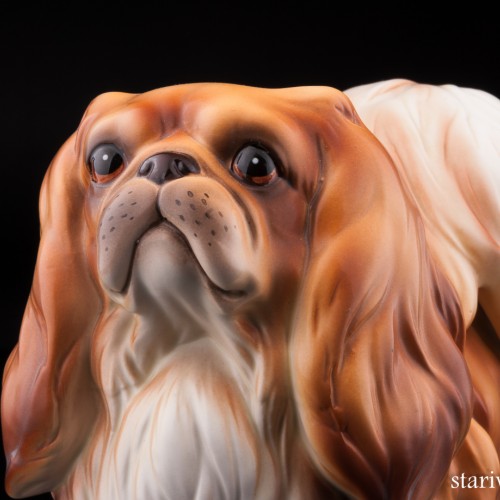 Пекинес, Германия