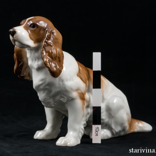 Сидящий спаниель, Hutschenreuther, Германия, 1938-55 гг