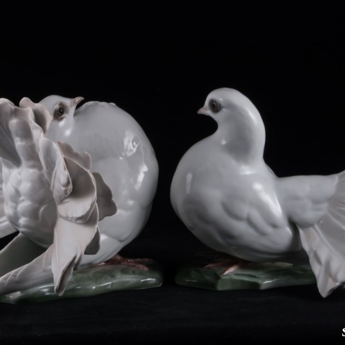 Голуби, Rosenthal, Германия, 1950-60 гг