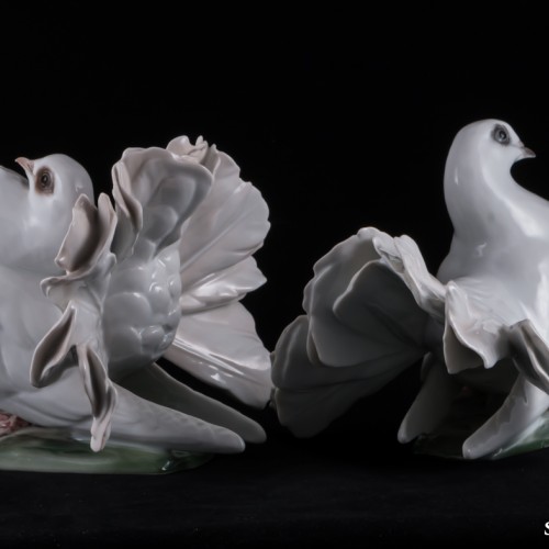 Голуби, Rosenthal, Германия, 1950-60 гг