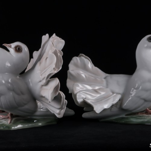 Голуби, Rosenthal, Германия, 1950-60 гг