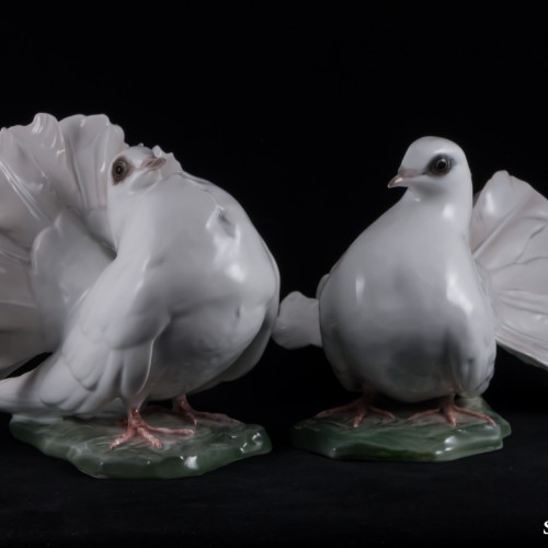 Голуби, Rosenthal, Германия, 1950-60 гг