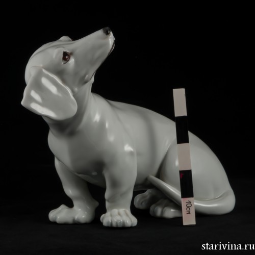 Такса белая, Augarten, Австрия, до 1945 г