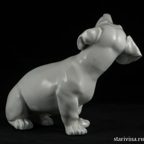 Такса белая, Augarten, Австрия, до 1945 г