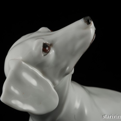 Такса белая, Augarten, Австрия, до 1945 г