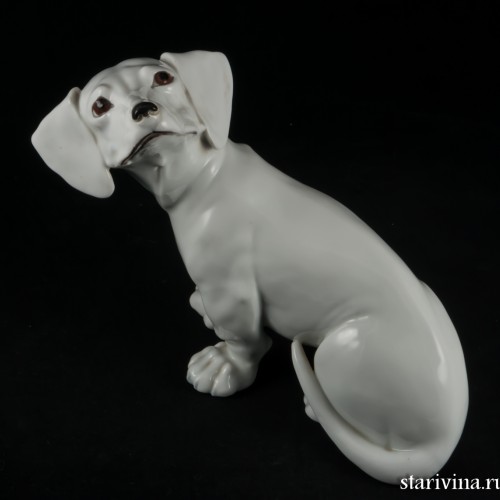 Такса белая, Augarten, Австрия, до 1945 г