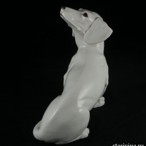 Такса белая, Augarten, Австрия, до 1945 г