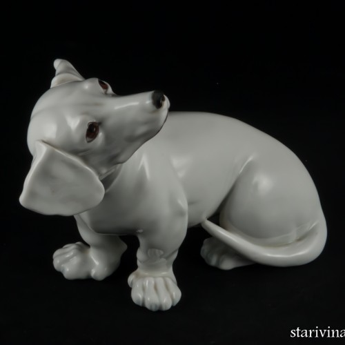 Такса белая, Augarten, Австрия, до 1945 г