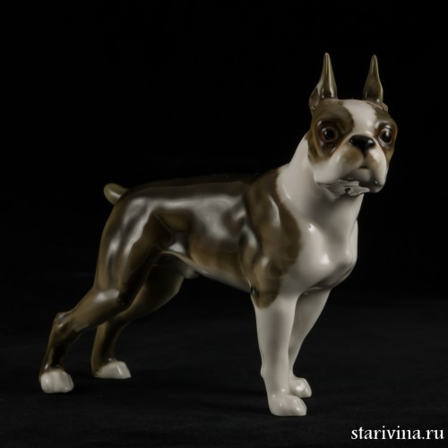 Бостонский терьер, Hutschenreuther, Германия, 1955-68 гг