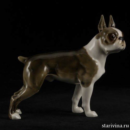 Бостонский терьер, Hutschenreuther, Германия, 1955-68 гг