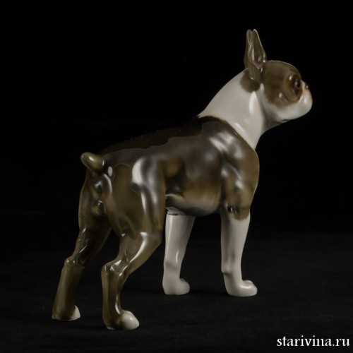 Бостонский терьер, Hutschenreuther, Германия, 1955-68 гг