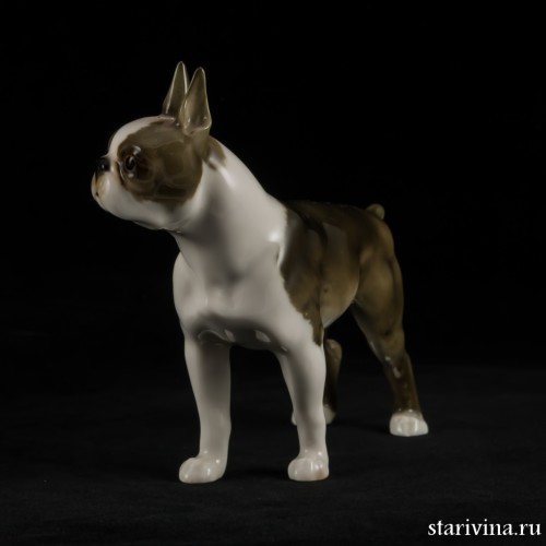 Бостонский терьер, Hutschenreuther, Германия, 1955-68 гг