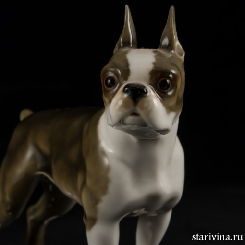 Бостонский терьер, Hutschenreuther, Германия, 1955-68 гг