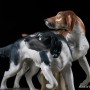 Две охотничьих собаки, Wagner & Apel, Германия, 1950 гг