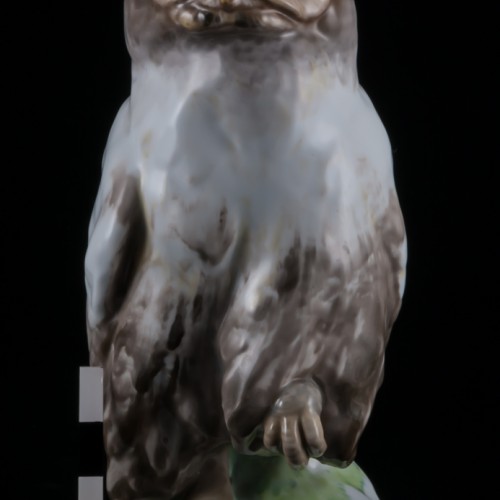 Ушастая сова, Karl Ens, Германия, кон. 19 в