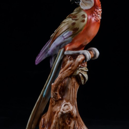 Попугай ара на дереве, Capodimonte, Италия