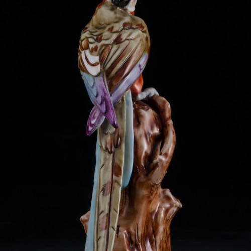 Попугай ара на дереве, Capodimonte, Италия