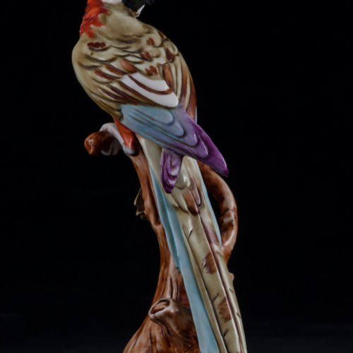 Попугай ара на дереве, Capodimonte, Италия