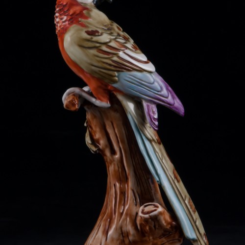 Попугай ара на дереве, Capodimonte, Италия