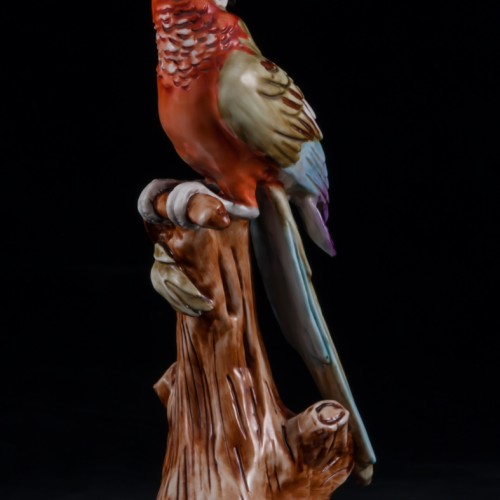 Попугай ара на дереве, Capodimonte, Италия