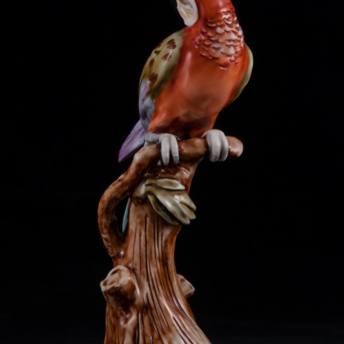 Попугай ара на дереве, Capodimonte, Италия