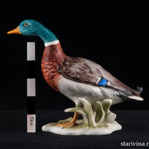 Селезень, Goebel, Германия, 1977 г