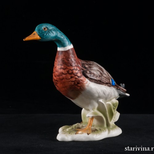 Селезень, Goebel, Германия, 1977 г