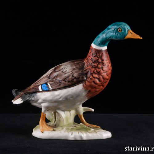 Селезень, Goebel, Германия, 1977 г