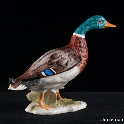 Селезень, Goebel, Германия, 1977 г