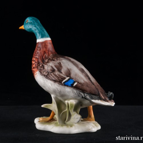 Селезень, Goebel, Германия, 1977 г