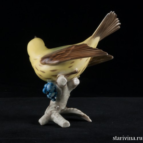 Камышовка, Hutschenreuther, Германия, 1968-70 гг