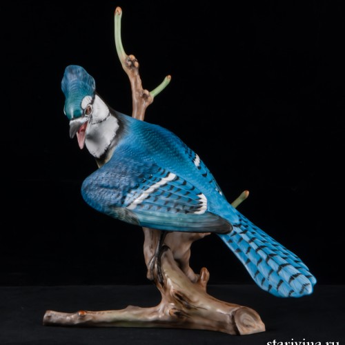 Голубая сойка, Herend, Венгрия