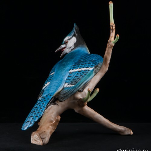 Голубая сойка, Herend, Венгрия