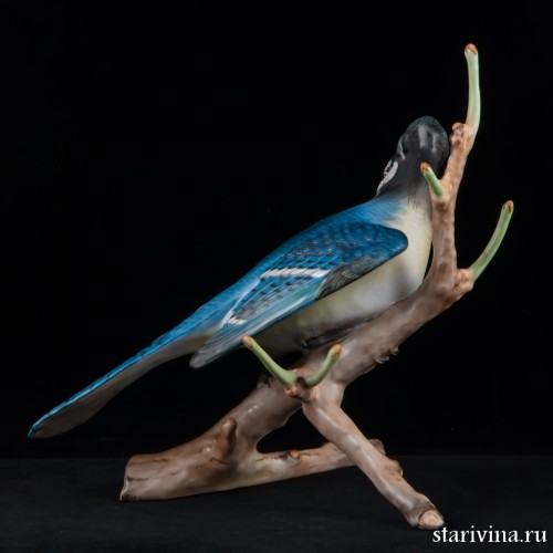 Голубая сойка, Herend, Венгрия