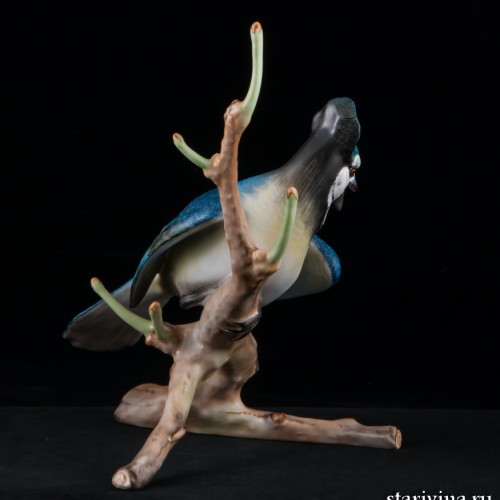 Голубая сойка, Herend, Венгрия