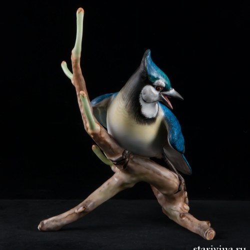 Голубая сойка, Herend, Венгрия