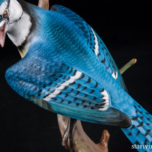 Голубая сойка, Herend, Венгрия